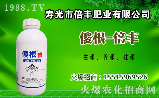 ���ӷNֲԓ���ʩ�ʣ����ӵĻ����c׷�ʷ�����