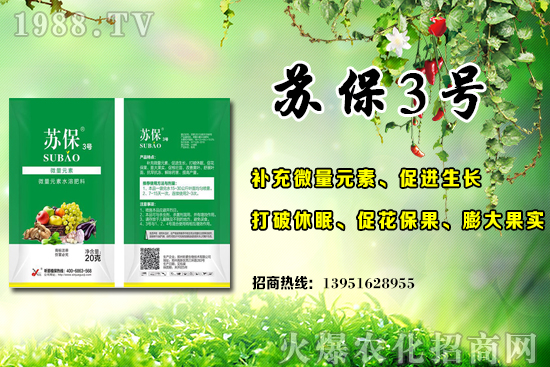 �����S�ϑ�(y��ng)ԓ��ʲô�r(sh��)��ʩ�ʣ������S�ϵ׷�ʩ�õ�3��(g��)�`�^(q��)��