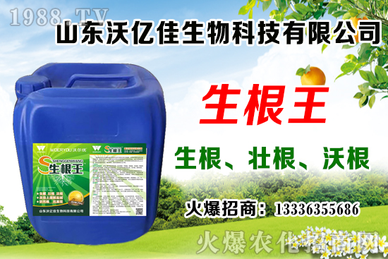 Ӱ푲�ݮ��ѿ�ֻ���������Щ����ݮ��ѿ�ֻ����c��ֲ����Ҫ�c��