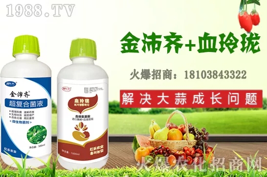     �ļ�ʯ�����L(zh��ng)��(x��)������Щ���ļ�ʯ����ֲ���g(sh��)�������ڹ�����