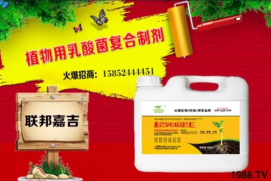 ���[���L�l������Щ�����[������c(di��n)���＾������