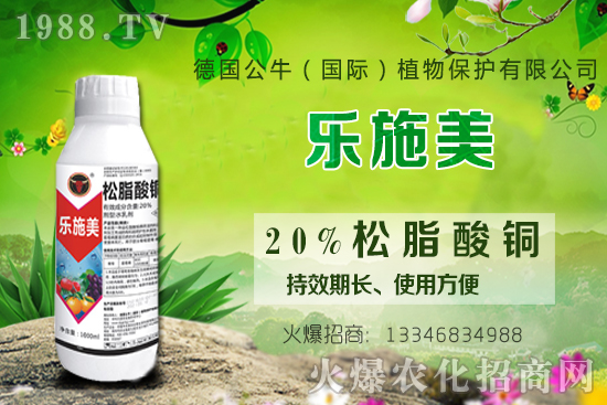 ������ʩ�ʕr(sh��)�g��ʲô�r(sh��)�򣿅�����ԓ���ʩ����