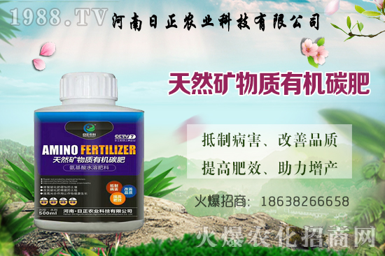 ���@������ѕr�g�ǺΕr���Д��˜���ʲô�����@����ע�������