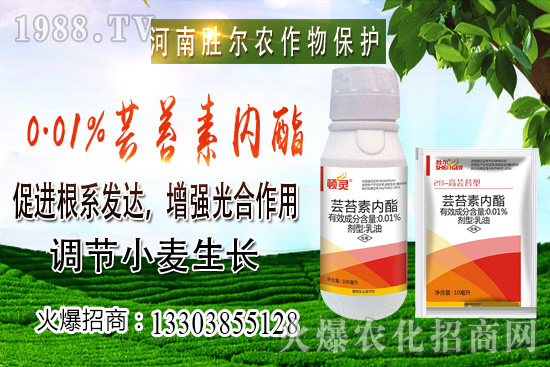 С���r(ji��)���ϝq��(ji��)����u�d�������п��ڣ�10��22��С���r(ji��)������