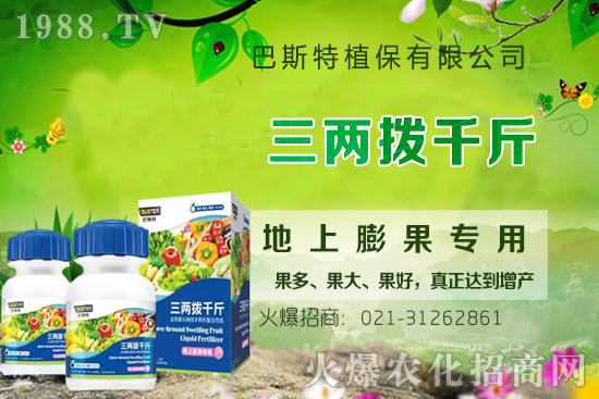 Ӱ�ţϥ��ϵ�����L��������Щ��ţϥ����������ʲô�~�����