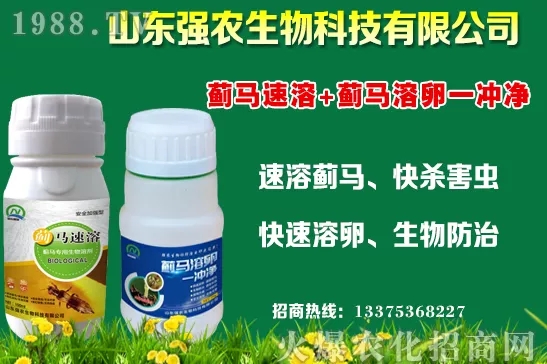 �ﶬ11�·Nֲʲô�߲˱��^���m���߲˷Nֲע�������