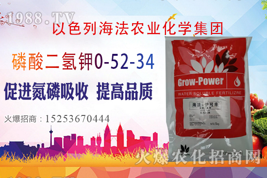 2020��10��28�����؃r(ji��)��(w��n)�����������؃r(ji��)�����(b��o)��