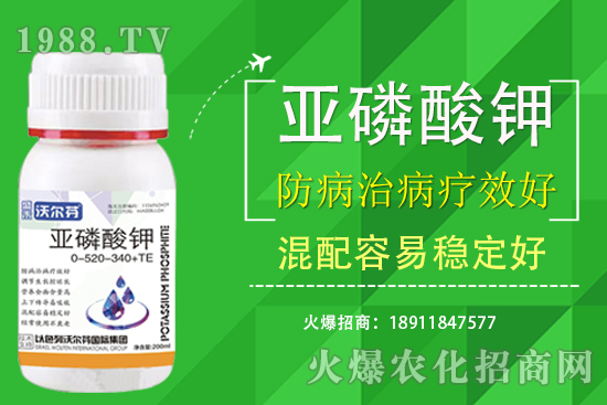 �������Ҫ��������ʲô������֮�g��ʲô�P(gu��n)ע��