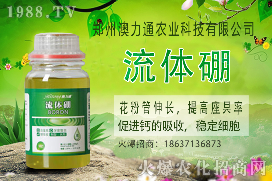 ⛷ʃr(ji��)����m(x��)���q��2020-10-30��(gu��)��(n��i)⛷ʃr(ji��)���(b��o)�r(ji��)һ�[