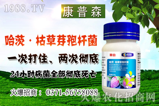 С���r(ji��)��ֹ���ط�(w��n)��С���r(ji��)���ܝq���٣�