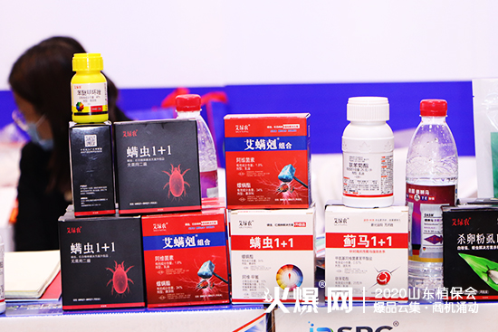 ɽ�|������2020ɽ�|ֲ����(hu��)���W���ǈ�(ch��ng)����Ź����