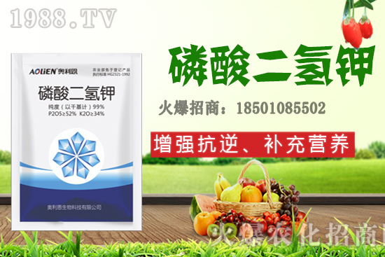 ����ʩ�D�ʺ�̎����Щ����Щ����Ҫʩ���D��ԓ��ôʩ��