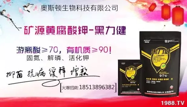 ����ʲô�r(sh��)�g���N��ע�����(xi��ng)����Щ�����ش���Nֲ�r(sh��)�g����