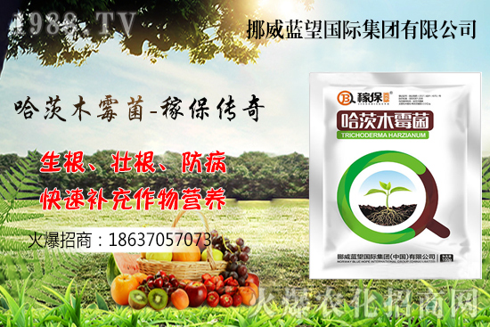 �ի@���С����΃�������С�������P(gu��n)�I�c������