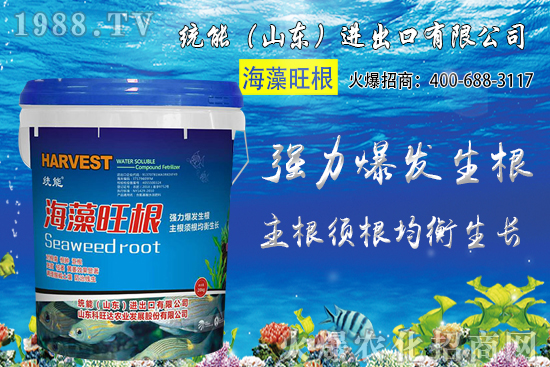 С���Nֲ�r�g��δ_����2020��С���Nֲע����Щ���}��