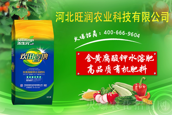 ���@����Ĥ��ô�Ч���������@䁷���Ĥ��Ҫ�c(di��n)��