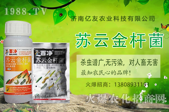 �S�ҷNֲ��(y��ng)ԓע����Щ������S�ҷNֲ�r�g�����g������