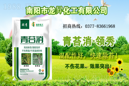 �󶹹�����(y��ng)�����r(ji��)����m(x��)�ϝq�����ش󶹃r(ji��)������