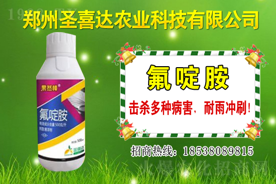 �������N��������Щ���������Ժ�ʲô�����׷N��