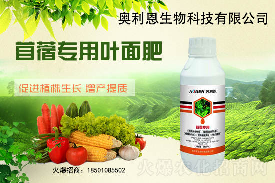 ��ޣԽ������ôʩ����ޣ��ʩ�ʹ���