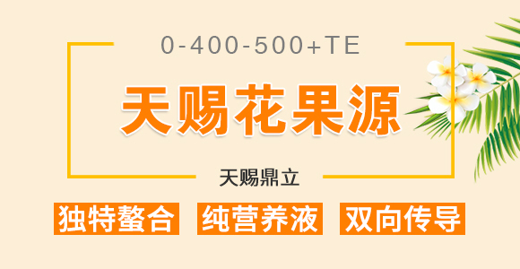 50g��������-��ʩ��_01