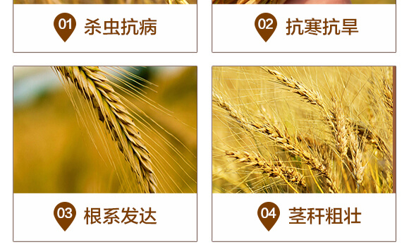 作物防病增產(chǎn)套餐-美多收-賽普露_05