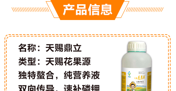 50g��������-��ʩ��_04