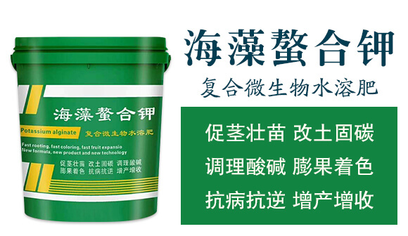 �ͺ�΢����ˮ�ܷ�-���������-���W����_02