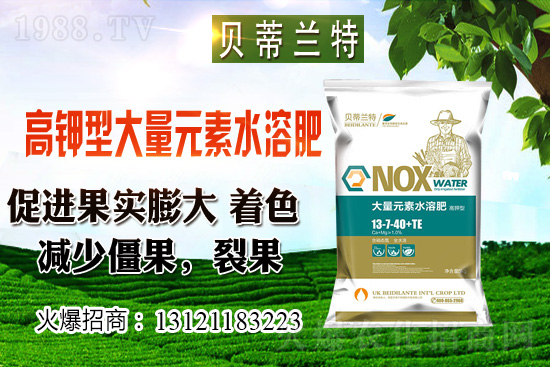 2020��12��С���r���A�y��������С���r���B��