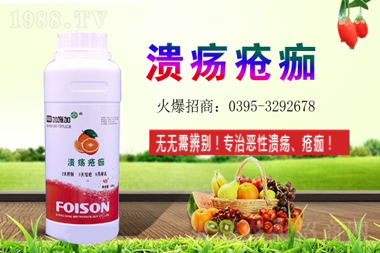 2021��ʯ��Nֲ���������ʯ�������ǰ����ô����