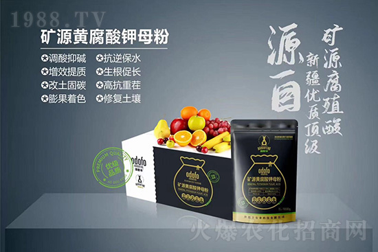 ʲô���߲��亦�����������￹��������