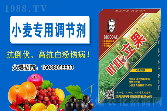 С���r��������ϝq��2020-11-26С���r������