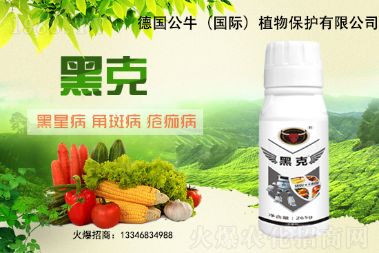 �|��������3Ԫ/�����11��28�մ󶹃r(ji��)������