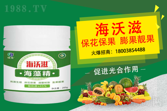 ��ɲ�ݮ��С��ʲô��������ô���M��ݮ�������