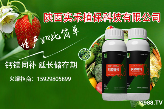 ���t�����~��ʲôԭ�������t�����~���δ�ʩ����Щ��