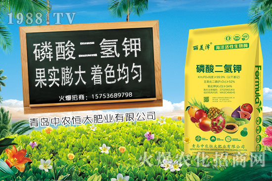 ����С���r(ji��)���ϝq�������Ƿ��(hu��)���m(x��)�ϝq��