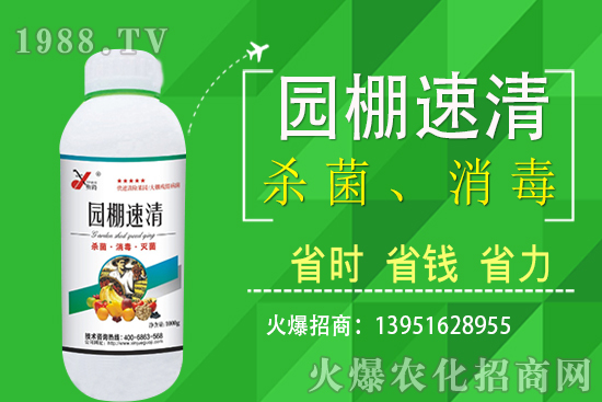 2020年11月5日局部花生價(jià)格報(bào)道！