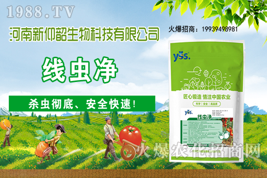 11��6�Շ�(gu��)��(n��i)С���r(ji��)���ව(w��n)���ֲ�С������(d��ng)��