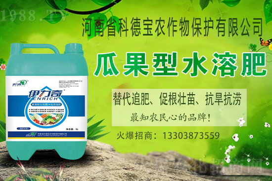 �����M��Ě��ʲô�r(sh��)�����������������x�M��Ě�ȣ�