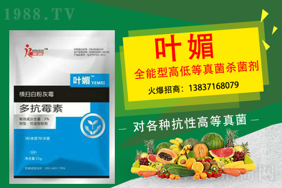 ����������(y��n)��̫�y�p������p�ɽ�Q��