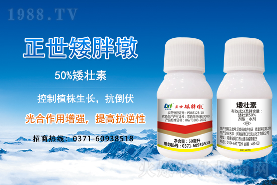 С����ǰ���L��ʲôΣ������ȡʲô��ʩ����Ч��ͽ�L��