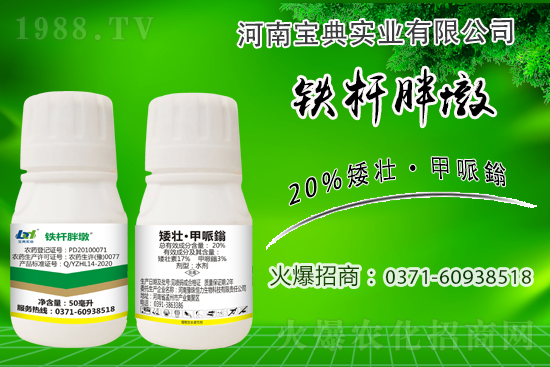 С����ǰ���L��ʲôΣ������ȡʲô��ʩ����Ч��ͽ�L��