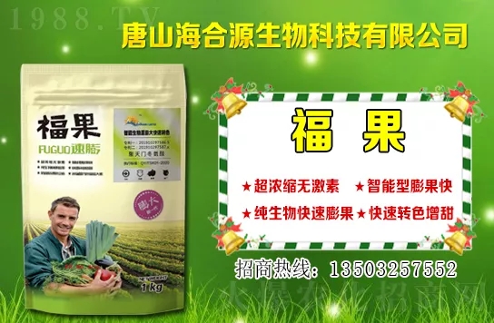 ĿǰС��?zh��n)��?g��u)�����Xһ����С���r(ji��)�����������