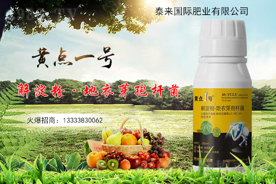 �S���~Ƭ��С�S�c(di��n)����ʲô�������η�������Щ��