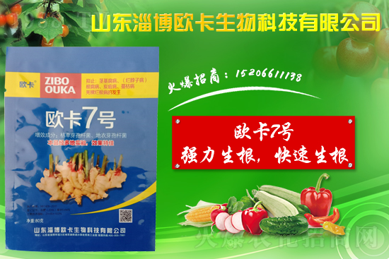 �󽪠����Ӳ���ʲô�����󽪠����Ӳ���ʲôˎ�÷���