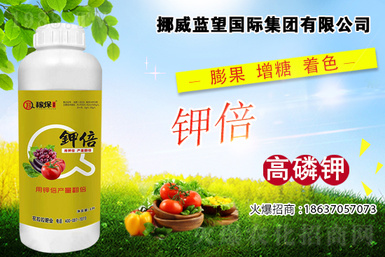 ���t����ɫ�����쿴�ǲ����@Щԭ�������t����ɫ��ʩ