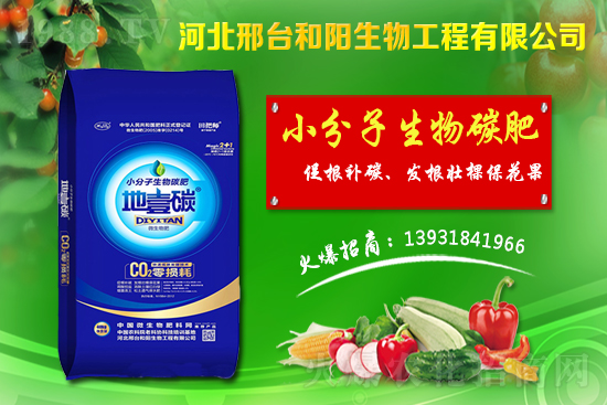 ����(ji��)ǰС���r��������q������С���r��������