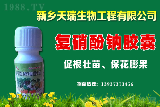 ���[һ�����ܮa(ch��n)���ٽ������[�r(ji��)�����ϝq��