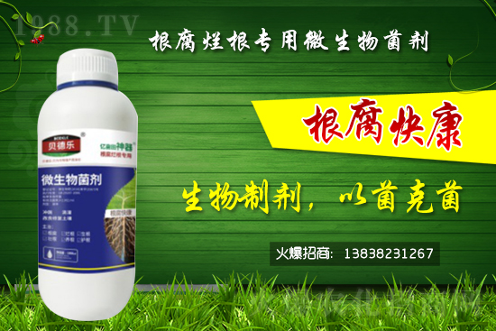 ΢������������θ�����������ô�x����