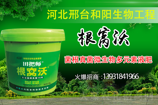 ��Щ��������������������ȡʲô��ʩ���Է�����